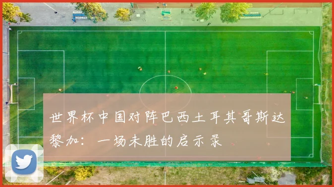 世界杯中国对阵巴西土耳其哥斯达黎加：一场未胜的启示录