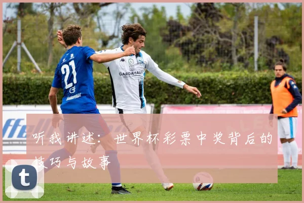 听我讲述：世界杯彩票中奖背后的技巧与故事