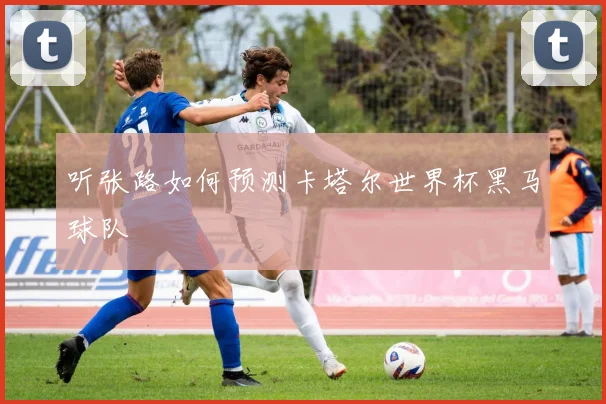 听张路如何预测卡塔尔世界杯黑马球队