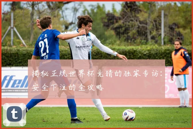 揭秘正规世界杯竞猜的独家专访：安全下注的全攻略