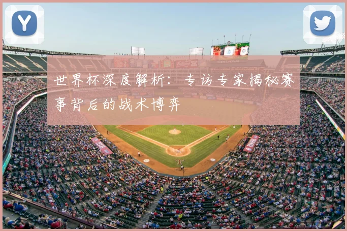 世界杯深度解析:专访专家揭秘赛事背后的战术博弈