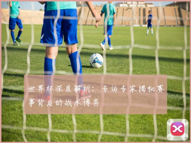 世界杯深度解析:专访专家揭秘赛事背后的战术博弈