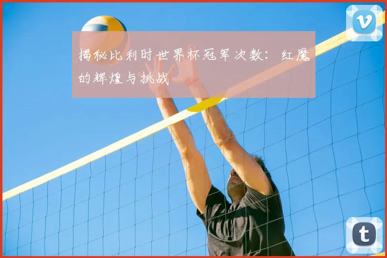 揭秘比利时世界杯冠军次数：红魔的辉煌与挑战