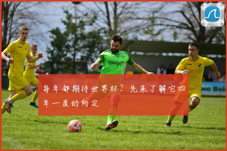 每年都期待世界杯?先来了解它四年一度的约定