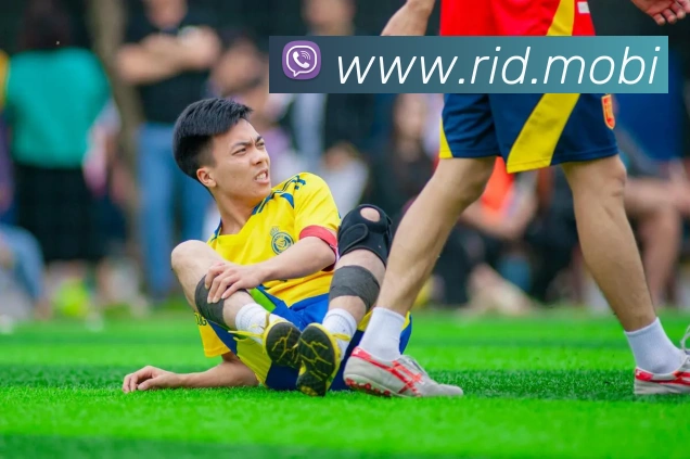 开云账号中心登录入口APP 封面图