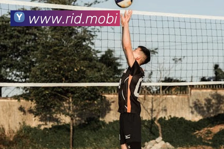 数据防护可视化